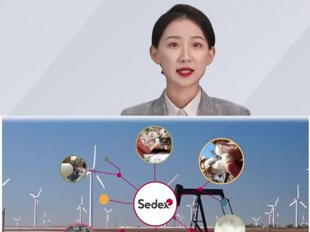 一分钟说sedex验厂。#sedeex #外贸工厂 #验厂 #沃尔玛验厂