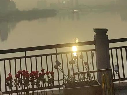 重要提醒!开油车的注意看,下轮油价或将大涨近一元(预测价格)