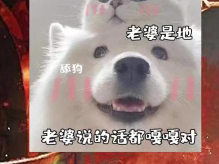 #笼中欢 #百合广播剧 #gl 拉扯继续拉扯