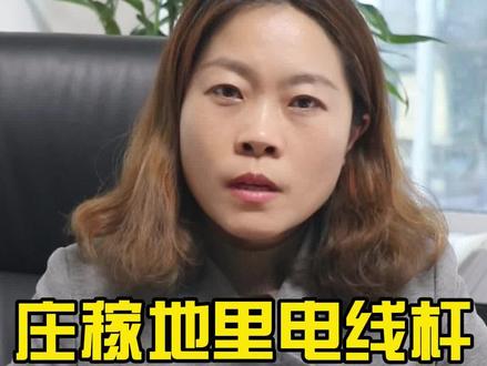 #违法占用耕地 #农村承包地 未经同意被安装电线杆,#法院判决 拆走!