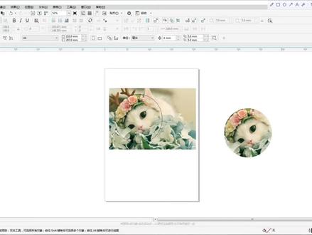新手小白#CDR如何圆形裁剪图片