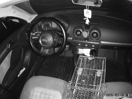 #黄鼠狼 千辛万苦给你送走了