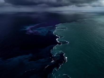 深海阻隔物种迁徙,划分亚洲与澳洲生物版图。#地球未解之谜 #地球奥秘