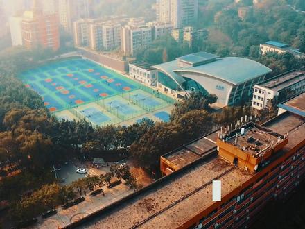 2025年网络与新媒体专业 院校排名(50-26)名 #大学排名 #大学专业排名 #高考报考 #升学规划 #填报志愿