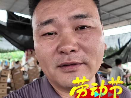 劳动节海南香蕉价格 今天是五一劳动节,祝全国的人民五一劳动节快乐,今天海南的香蕉价格平稳略上涨#劳动节#海南香蕉价格#香蕉价格#记录在工地上的日子 #众盈香蕉