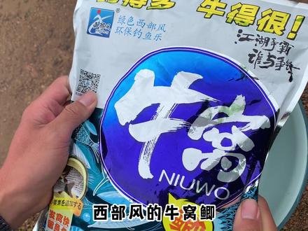 西部风,次次空????西部风牛窝鲫,打窝水下测试。#饵料窝料 #钓鱼用什么饵料 #饵料测试 #钓鱼技巧