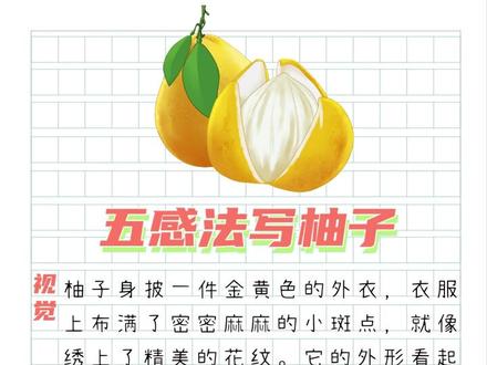 五感法写柚子#五感法写作文 #小学语文 #小学作文