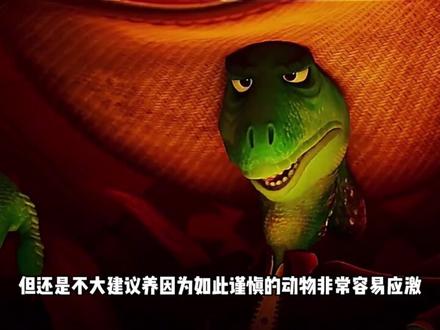 疯狂动物城中这些角色原型原来是这样 #科普 #疯狂动物城 #二次元 #盖瑞 #充能计划