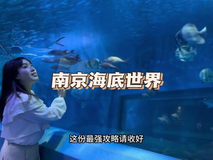 五一想来海底世界玩的,这份攻略请收好!#五一旅行指南 #心动五一 #抖音本地流量来了 #五一玩乐自由 #抖音搜索流量来了
