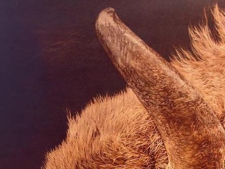 欢迎大家评论#真皮刀画 #超写实 #定制画 #画牛