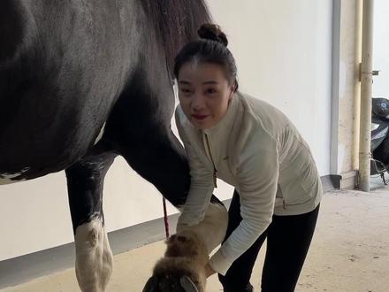 马儿钉蹄到底痛不痛#马 #宠物美容 #尼寇是匹马