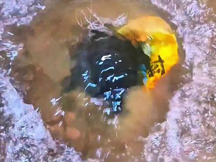 干枯了三十多年 郑州“母亲河”贾鲁河源头
泉水复涌 村民们兴奋不已、奔走相告村民:自己祖祖辈辈吃这河水长大!#郑州贾鲁河 #泉水 #母亲河