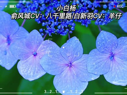 #小白杨 #白新羽 #俞风城 白新羽:我不会忘了那两年经历的 也不会忘了这两天在昆仑山发生的一切……再见了