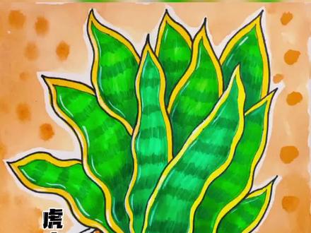 画一盆虎皮兰#画画 #线描