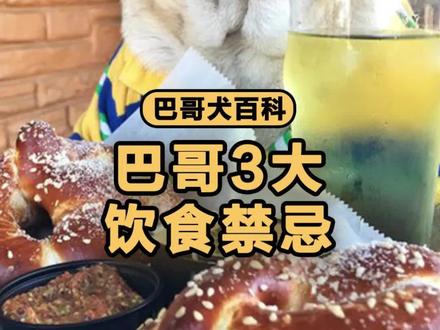 巴哥3大饮食禁忌,希望你没踩过!#巴哥犬 #巴哥犬知识 #狗狗饮食禁忌 #抖in萌宠计划 #巴哥犬百科 #养宠进阶指南