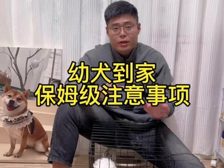 幼犬到家保姆级注意事项,大家可以点赞收藏#比熊 #新手养狗 #幼犬到家 #养狗经验分享 #科学养宠攻略