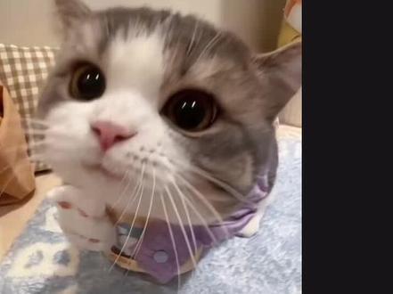 MVP结算画面效果教程来了,你学会了吗 #剪辑教程 #零基础学剪辑 #高级转场 #转场玩法 #mvp结算界面