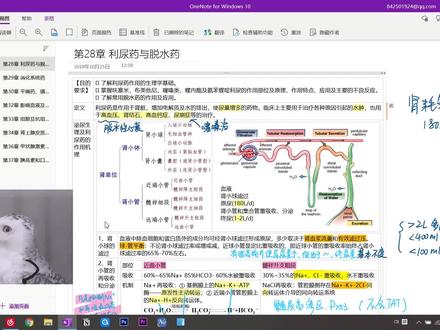 思维导图?OneNote?我怕不是用了个假的?!