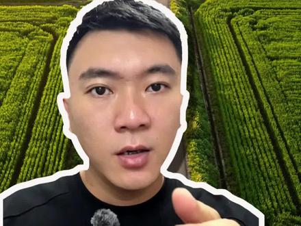 干装修不如讲故事,金螳螂暴涨背后藏着多少操作 #经济 #财经知识 #金融常识 #商业思维 #商业故事