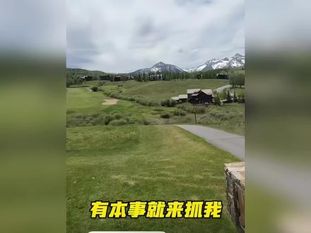 根本不把法律当回事,前几日被意大利环保组织调查,今日发文挑衅对方#詹姆斯 #湖人