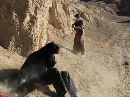 “我申请加入巡山队!”#电影感 #生命树 #白菊 #生命树太好看了 #挑战仿拍生命树大片