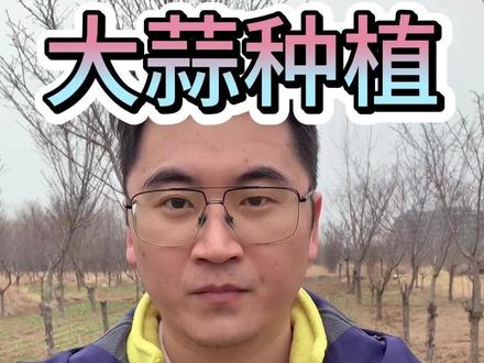 大蒜返青怎么做,提前知晓产量高 #大蒜 #大蒜种植 #大蒜管理 #农业 #三农