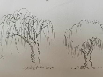 一分钟教你画柳树#黑白线描画 #速写 #线描画