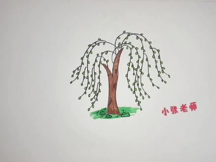 春天柳树的画法#柳树简笔画 #柳树画法 #简笔画 #简笔画教程