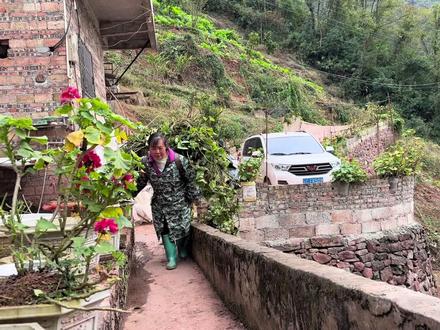 一屋二人的农村生活,三嫂夫妻分工打理家务,晚餐安排一锅围着吃 #记录我的农村生活 #二人的晚餐 #家常菜的味道#平平淡淡的生活 @招商银行App #2025招牌年终奖