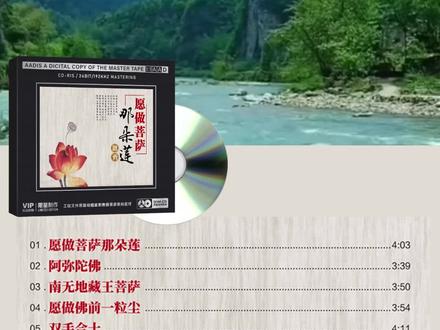 路勇专辑CD光盘 静心佛语,无损音质