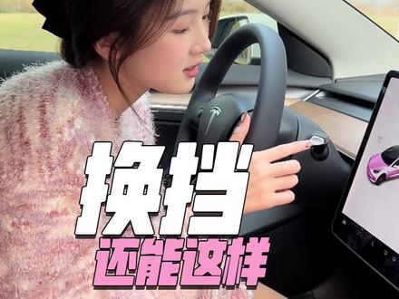特斯拉右边换挡杆的全部功能 最后有彩蛋哦#特斯拉 #特斯拉用车小妙招 #特斯拉使用小技巧 #新能源领航计划 #汽车知识