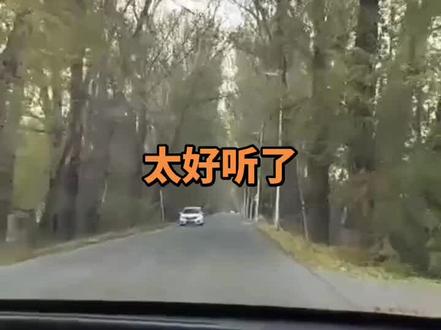 新版本《能咋地》#爱咋在地#酸黄瓜