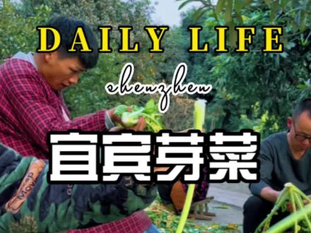 #宜宾芽菜 不是所有青菜做出来都是宜宾芽菜!!!宜宾芽菜神会保护每一个外出拼搏的泥宾人!我为宜宾芽菜打call#乡村生活vlog #芽菜#宜宾特色美食