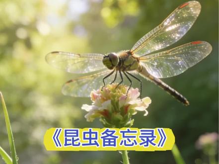 三下语文《昆虫备忘录》课文朗读#神奇动物在抖音 #昆虫科普 #你能叫出它的名字吗
