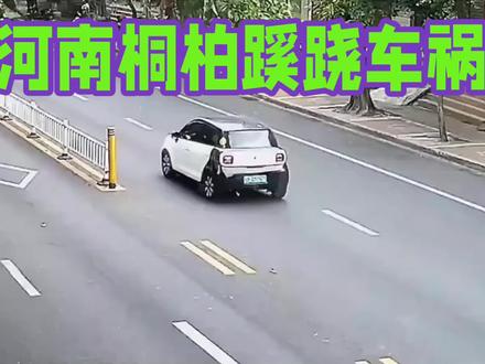 河南桐柏蹊跷车祸:男子为骗保撞树身亡露馅