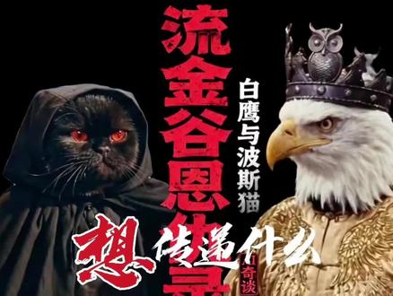 你觉得片子还传递了什么?#流金谷恩仇录