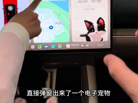 小米新一代SU7,车上萌宠,太可爱了!#新一代小米su7