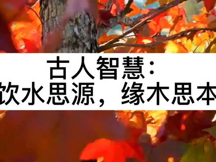 古人智慧:“饮水思源,缘木思本”是我们做人的根本和正道所在!