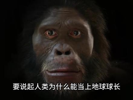 现代人类能不能打得过野生动物?人类为什么被称为恐怖直立猿?