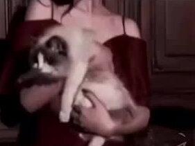 好想前宁海镇看看秦苒,潘明月,宋律庭,还有那个所有大佬心里的潘明轩#夫人你马甲又掉了 #秦苒 #潘明月 #宋律庭 #秦苒程隽