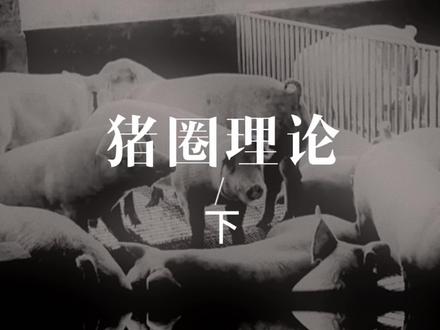“X系列”总结篇#宇宙