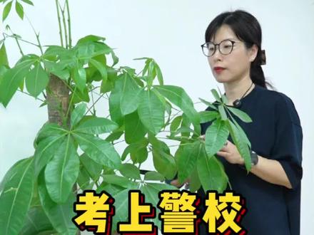 考上警校如何当警察#高考#升学规划#志愿填报#家长必读