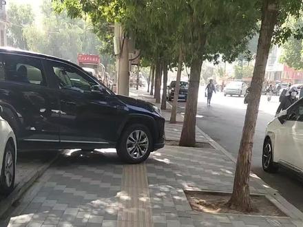 盲人朋友为什么不愿意出来,看看盲道上都放些什么。#老蔡有话说