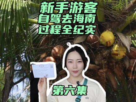 自驾2253公里我们来到了海南岛!新手游客上岛过程全纪实!自驾车辆如何上岛?收藏这里!#海南 #海口 #自驾 #自驾海南轮渡攻略 #旅游vlog