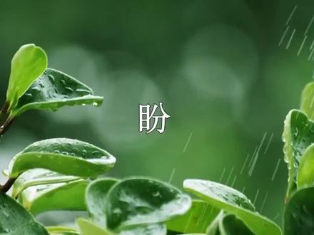 课文朗读-六上17盼