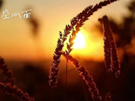 张小九的《余香》,以民谣形式诠释了爱情逝去后,难以割舍的思念与释怀交织的复杂情感,通过真实故事展现对过往情愫的沉淀与自我疗愈过程。词作者卡夫以亲身经历为创作蓝本,与名为“余香”的前女友因现实原因分手,三年后得知对方嫁作人妇,将这段无疾而终的恋情转化为音乐语言。歌曲名“余香”具有双重含义:既是女主的姓名,又隐喻爱情消逝后残留的记忆痕迹,如同发间雨水蒸发后若隐若现的香气。通过“划一根火柴,将慵倦的夜点亮”、“钥匙在你手上”等意象,构建出深夜独饮、追忆往昔的孤独场景,凸显单方面深情的心理落差。“思念需要时间,慢慢调养”成为全曲核心哲思,既承认伤痛存在的必然性,也传递出时间无法彻底治愈创伤但可缓解痛感的辩证认知。突破传统情歌的性别叙事框架,罕见展现男性在情感中的脆弱面,用“颠沛”、“沧桑”、“尘埃”等具象词汇,还原失恋后的生活碎片与心理细节。
这首歌在网易云音乐积累超10万条留言,形成“痛感共同体”,折射当代年轻人对情感宣泄渠道的需求。通过“真实故事+民谣基底+短视频传播”模式,成为现象级疗愈金曲,抖音各种版本播放量破5亿次。它堪称时间哲学的当代诠释,提出“时间非解药而是麻药”的观点,与Z世代抗拒快餐式遗忘、追求情感沉淀的心理需求产生共鸣,被《新周刊》评为“后疫情时代的情感标本”,不愧为现象级治愈情感音乐。
#音乐分享 #抖音热歌 #治愈 #我要上热门 #十亿流量扶持计划