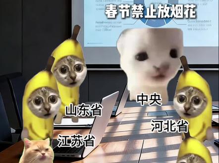 贵州文旅:请全国朋友来贵州放烟花~#meme猫#meme小剧场 #猫meme日常 #猫meme #香蕉猫