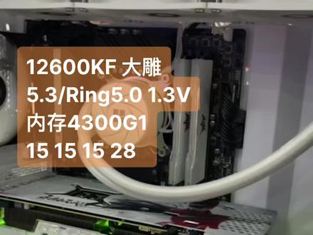 说运气好吧,连续3颗过不了3900G1,说运气不好吧,第四颗摸了个大雕12600KF#超频主机 #PUBG