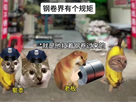 钢卷界有个规矩 #猫meme #猫meme小剧场 #钢卷 #震惊