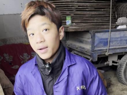 小短腿+蜜桃臀,一个多月的柯基,萌到犯规!#狗#小毛孩子 #狗是人类最忠诚的朋友 #狗子的迷惑行为